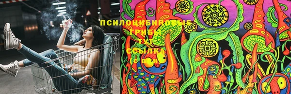 метадон Бородино