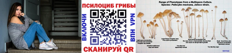 МЕГА ссылки  Называевск  Галлюциногенные грибы GOLDEN TEACHER 